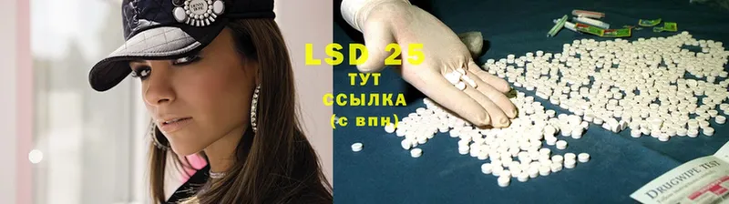 ЛСД экстази ecstasy  блэк спрут как войти  Болхов  магазин продажи  